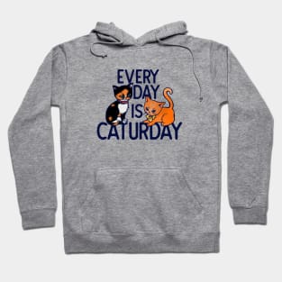 Every day is caturday Hoodie